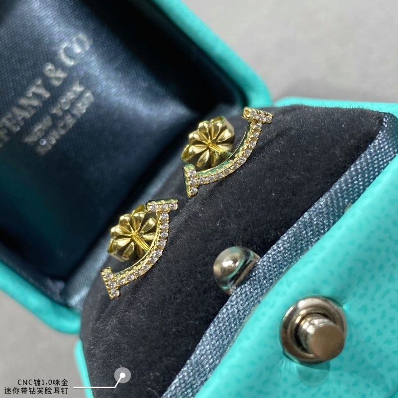 T*f*ny earrings